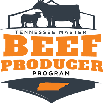 Master Beef-Producer Program Logo